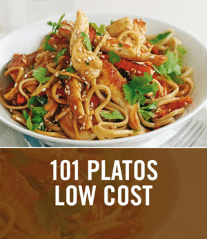 101 PLATOS LOW COST