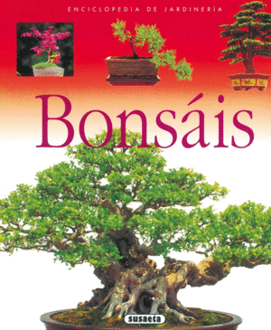 BONSÁIS